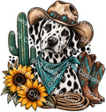 Western Dalmatian PDF