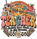 Teacher PDF