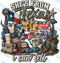 She’s From Texas PDF