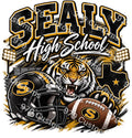 High School Football PDF